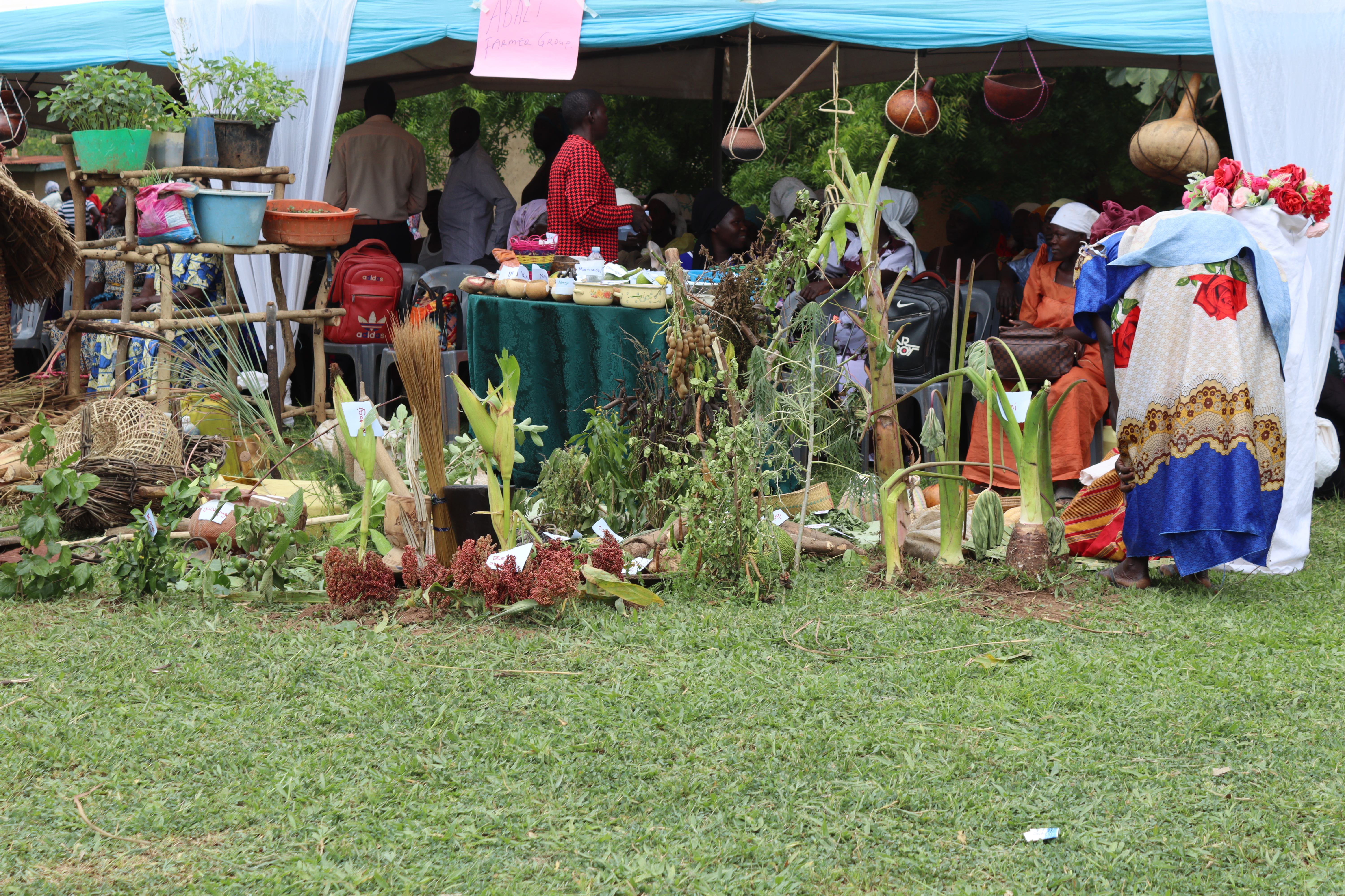 Food and seed fair display